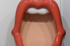 'Power to the Peepee': Dutch women are protesting about a lack of female public loos