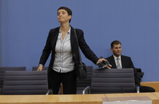 Co-leader of far-right party quits just hours after German election breakthrough