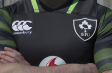 This is the new jersey Ireland will wear against South Africa in November