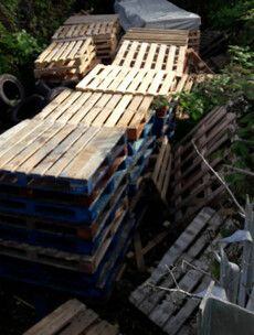 People asked to report stockpiling of bonfire materials ahead of Halloween