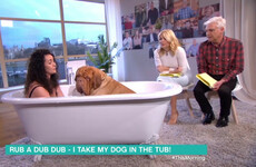 19 moments that prove daytime telly is the weirdest place of all
