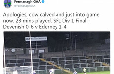 The Fermanagh GAA Twitter account sent potentially the best Irish tweet of 2017 when covering their league final