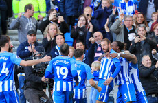 In-form Murray scores third goal in two games to earn Brighton point