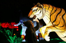 7 family events to check out this weekend - from Chinese lanterns to outer space