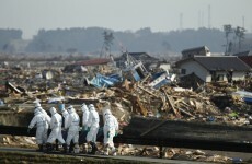 Probe finds Japan kept quiet on risk of nuclear disaster