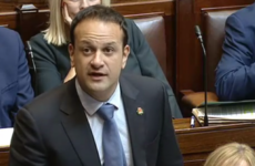 Leo Varadkar was wearing a 'shamrock poppy' in the Dáil today