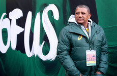 Coetzee defends ill-disciplined Springboks after Dublin hammering