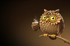 Poll: Are you an early bird or a night owl?