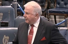 'Couldn't negotiate a piss up in a brewery': Row erupts in Seanad over Ireland's failed Rugby bid