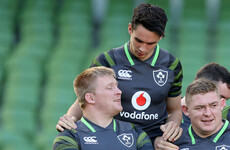 John Ryan back in Ireland camp, Carbery Schmidt's only new injury absence