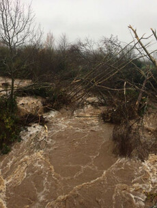 Families evacuated in Laois as flooding spreads across the county