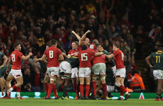Wales survive Springboks comeback as Parkes stars on debut