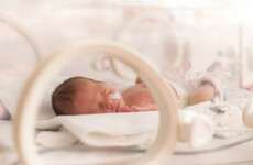 'A disgrace': The mothers of premature babies who say they've been left behind by the Minister