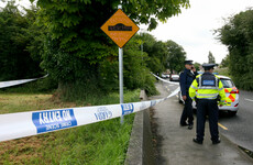 The 'smallest piece of information' could help gardaí catch 3 men behind violent sexual assault