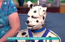 11 times that This Morning was exactly like a weird 99p women's mag