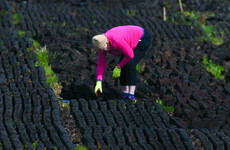 'This is about heritage and tradition': Turf cutters say the new bogs strategy won't solve the problem