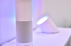 Amazon's Alexa won Christmas this year