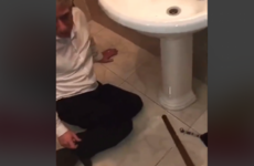 The family from the viral bat video had a mouse in their house and chaos broke loose again