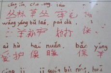 Insufficient cash to add Chinese to second-level curriculum