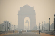 India's capital is polluted with smog... but these Delhi offices have air as fresh as the Swiss Alps