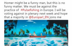 'It doesn't give the fish a chance': Irish MEPs urged to vote against electric pulse fishing