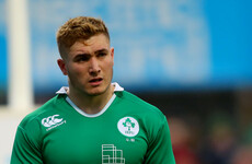 Fergus McFadden and 20-year-old Jordan Larmour included in Ireland squad for Six Nations