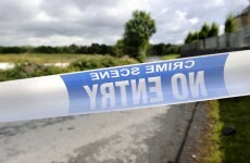 Updated: Two men arrested after body discovered in Kerry bog
