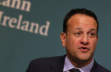 Abortion referendum proposed for May, but 12-week law goes too far for Coveney