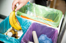 'Why are you throwing away so many chips?': How east Cork is tackling its food waste