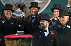 Groundhog Day: Six more weeks of winter, says Punxsutawney Phil