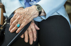 Elderly residents were physically restrained by staff at Raheny nursing home