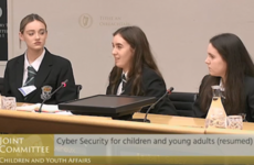 'It's almost like parents are blaming the platform itself': Teenagers have been educating TDs on online safety