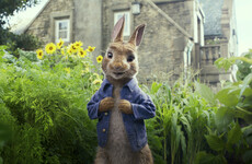 Filmmakers apologise after complaints over allergy scene in Peter Rabbit movie