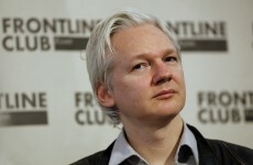 Julian Assange plans to run for Australian Senate