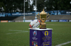 New Rugby World Cup bidding process could help Ireland and other smaller nations - reports
