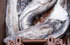 Eel fishermen who went out of business after Irish ban may soon receive financial support