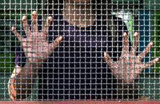 Sitdown Sunday: The Japanese women stealing so they can go to prison - and not be lonely