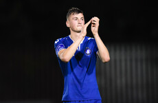 Limerick youngster makes Championship debut