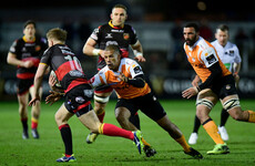 Scarlets snap up a second Cheetahs star for next season