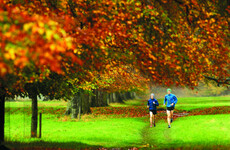 Living near a green space may not have any impact on obesity