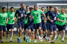 Do you agree with our Ireland team to face France?