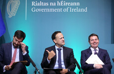Minister promises proper oversight of €4bn Ireland 2040 funds so money goes to the best bids