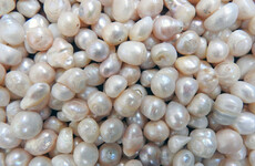 World's largest freshwater pearl sold at auction for €320,000