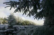 Two men rescued from the Sally Gap overnight