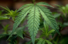 Canadian MPs vote to legalise cannabis for recreational use