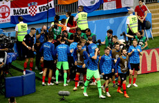 'They suddenly realised I was underneath them' - The photographer who became part of Croatia's goal celebration