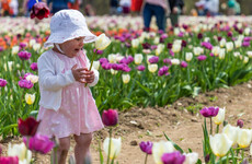 Study finds 40% of people have a fictional first childhood memory
