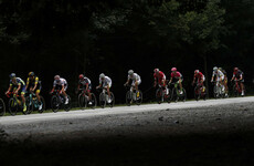 Sagan wins Tour's 13th stage, Thomas still in yellow