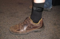 Electronic monitoring of prisoners to be introduced