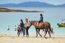 5 outdoor events to check out with the kids this weekend - from watersports to musical picnics